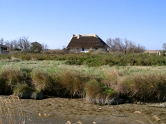 La Camargue La Camargue