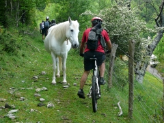 Escapde en Vercors VTT