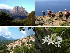 Corsica Bella - Parc Naturel R&eacute;gional de Corse