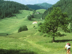 VTT Jura