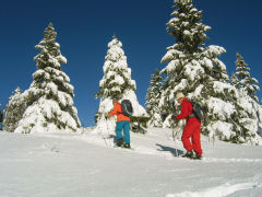 Randonnée raquettes dans le Vercors - France Randonnée raquettes dans le Vercors - France