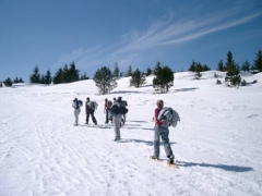 Randonn&eacute;e raquettes sur le Mont Loz&egrave;re - Loz&egrave;re - France