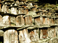 Ruches Tronc traditionnelles en ch&acirc;taignier