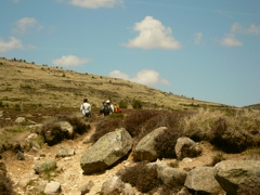 Sur les traces de Robert Louis Stevenson - Cévennes Sur les traces de Robert Louis Stevenson - Cévennes