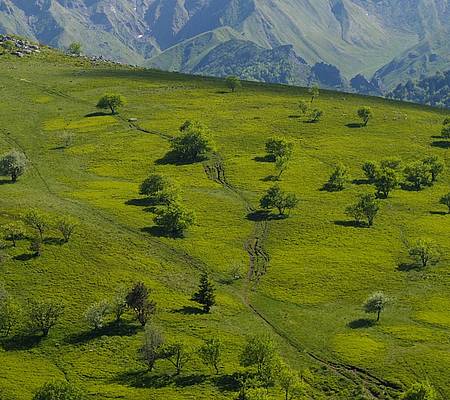 Randonnée Lacs et volcans d'Auvergne