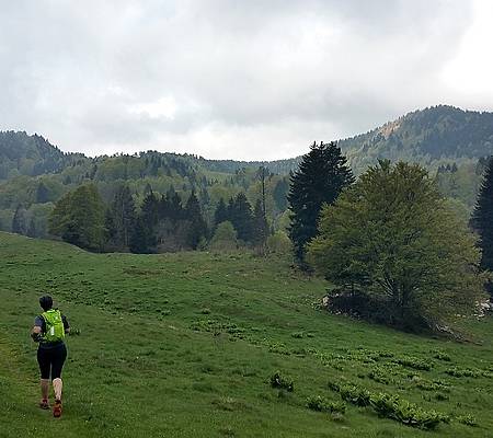 Trail Chemin Stevenson