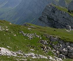 Randonnée Vercors et Bien être