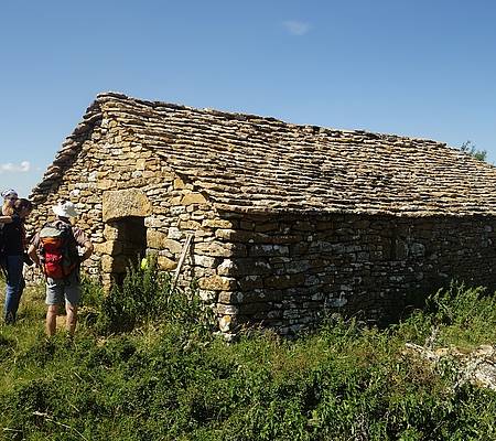 Randonnée Tour du Mont Aigoual