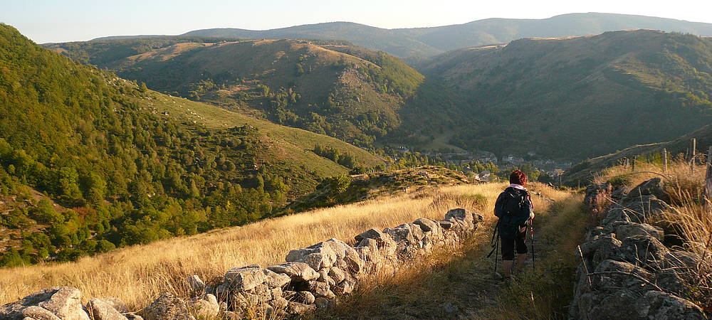 L'intégrale du chemin de Stevenson - Voyage Massif Central