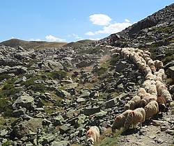 Randonnée Mont Lozère et balnéo