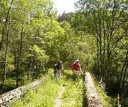 VTT Des Cévennes au Mont Lozère
