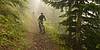 Chemin Stevenson en VTT