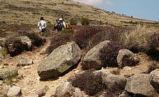 Détours en Cévennes