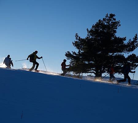 Raquettes accompagnée dans le Massif du Sancy