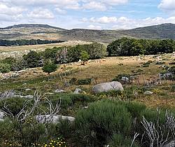 Randonnée Chemin de Saint Guilhem Sud