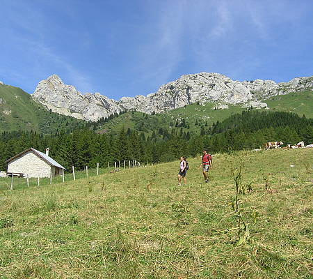 Randonnée Parc régional du Vercors