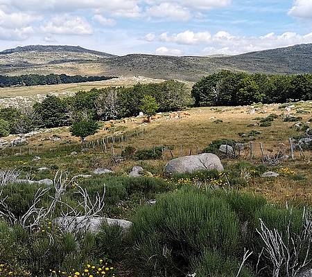Randonnée Chemin de Saint Guilhem Nord