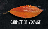 Carnet de Voyage Cévennes Ecotourisme