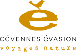 Logo Cévennes Evasion