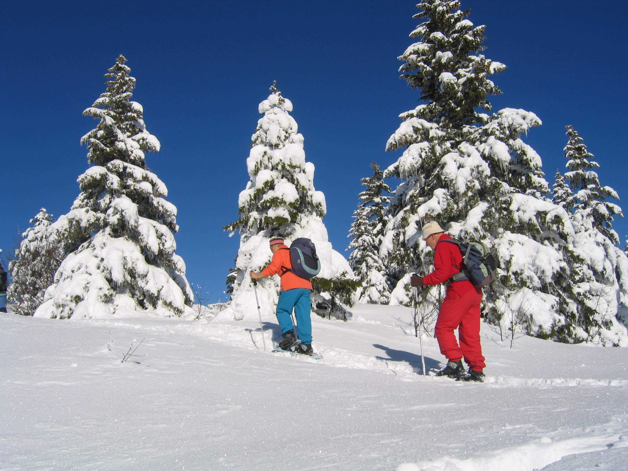 randonnée_raquette_vercors