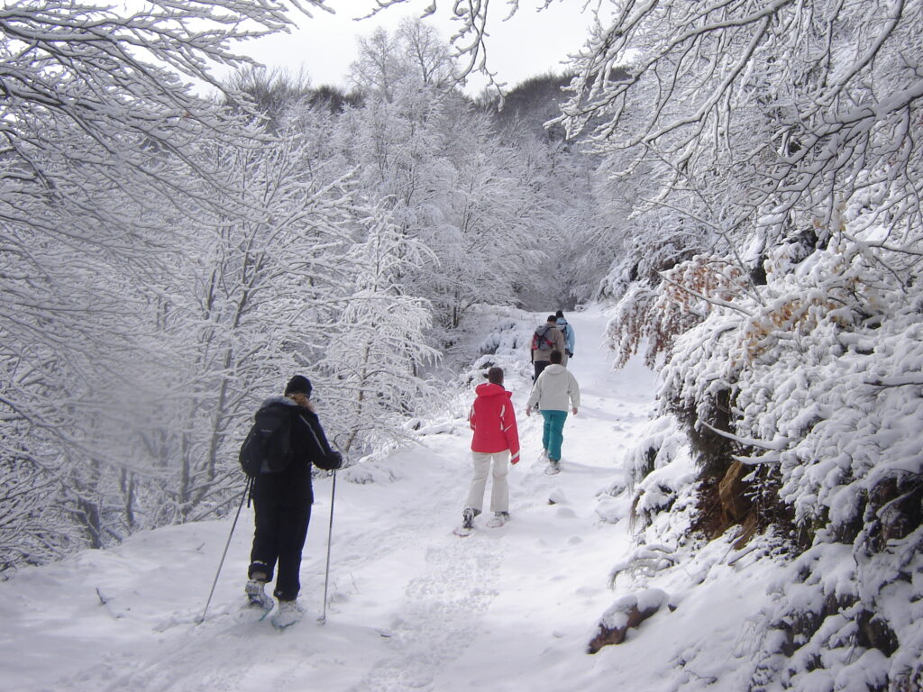 séjour_mont_lozère_hébergement